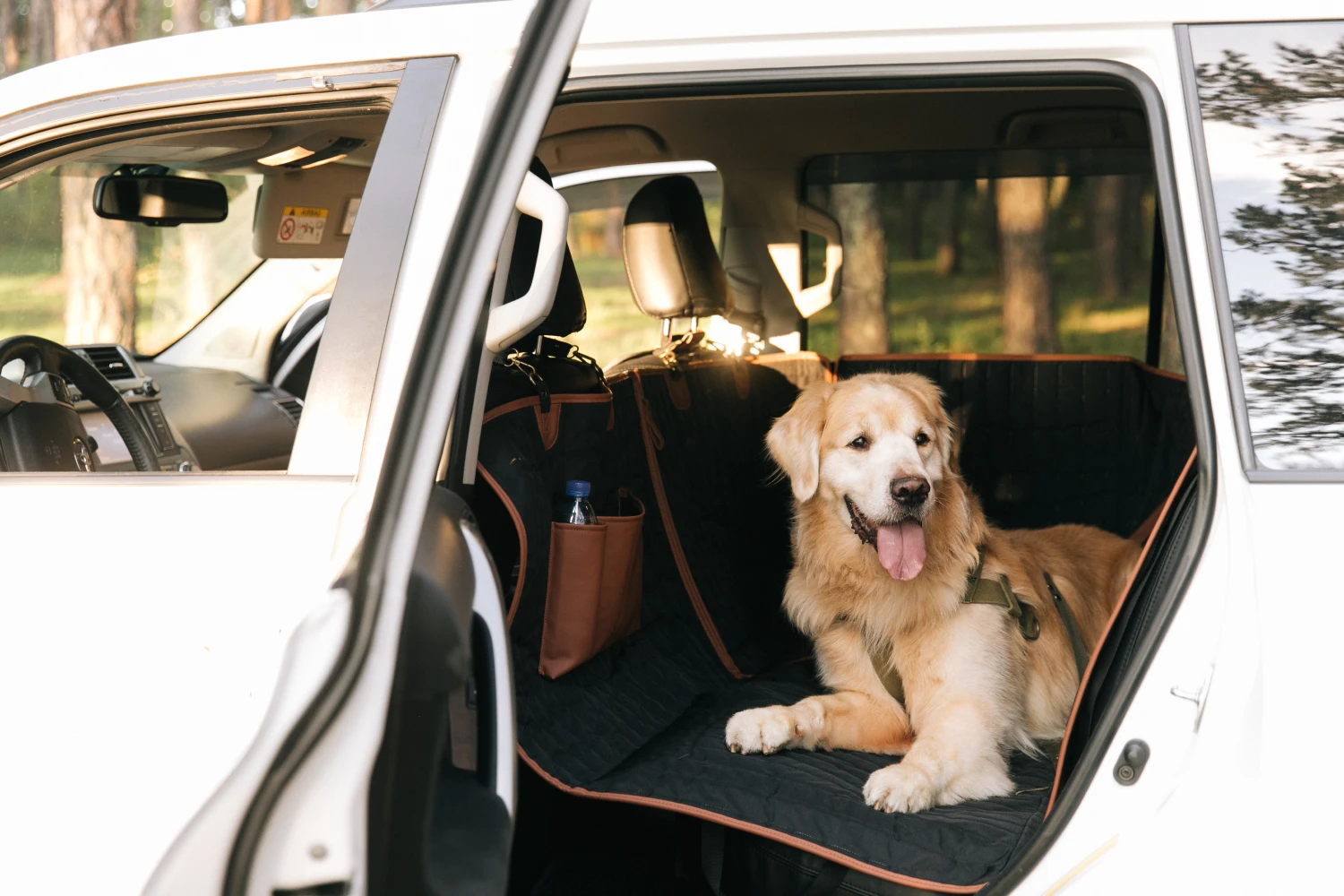 St. Bernards back seat cover for Jeep Wrangler