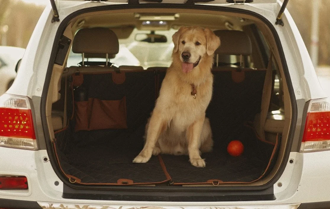 dog back seat cover for Dodge Grand Caravan