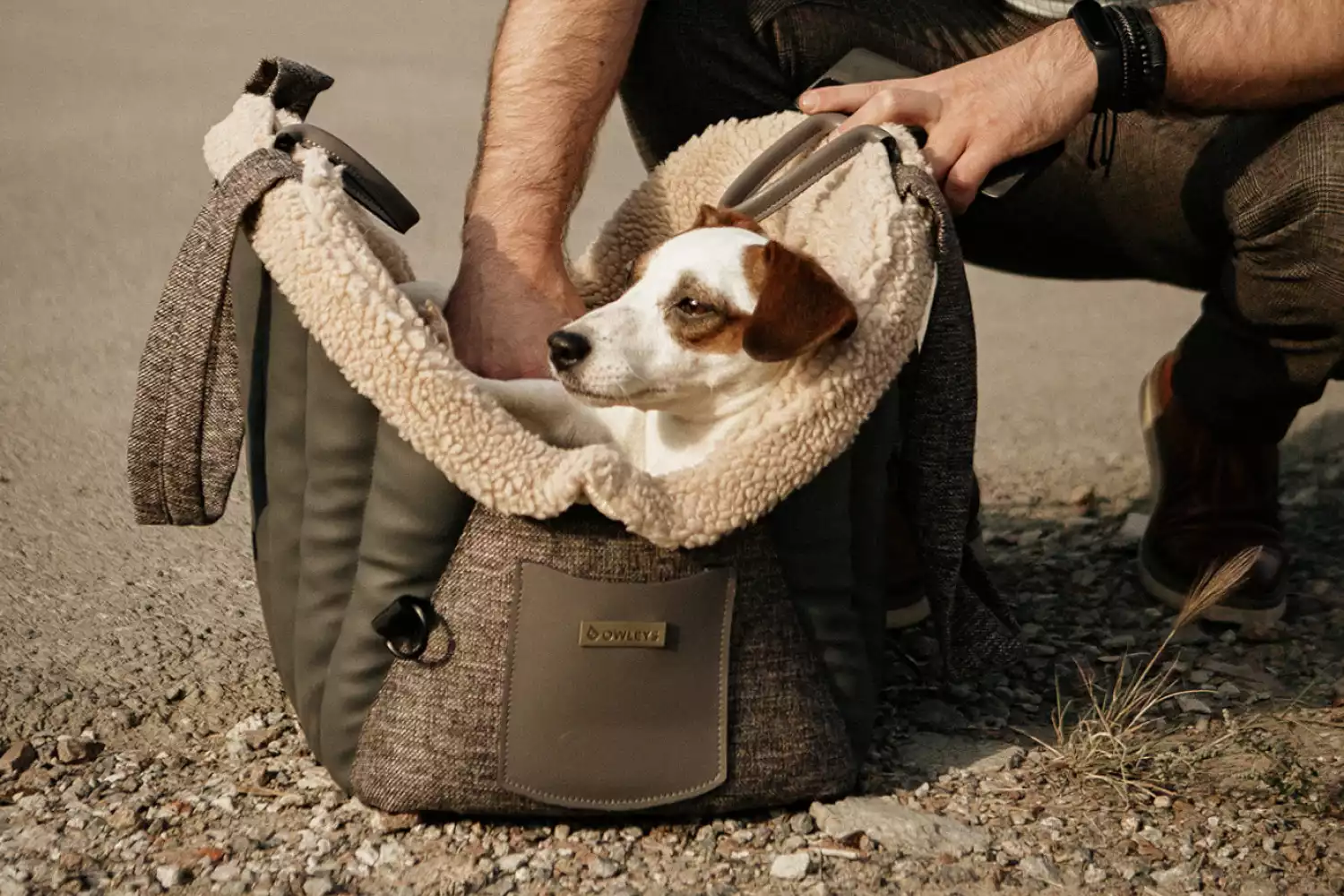 Lancashire Heeler Dog Carrier Car Seat for Toyota 4Runner