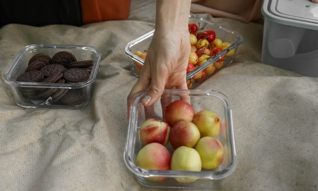 lightweight waterproof picnic blanket